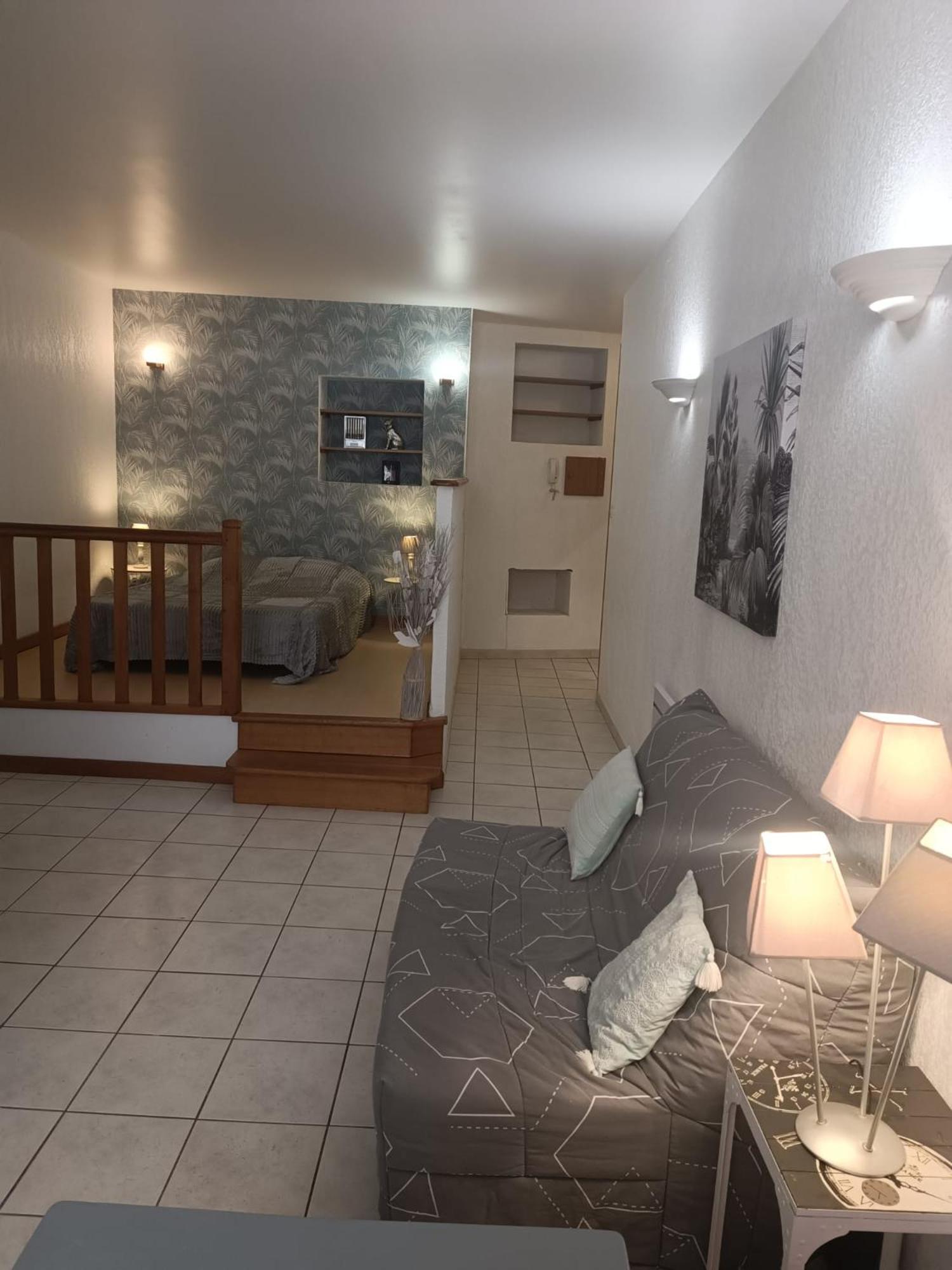 Grand Studio Meuble Chez Coco Romans-sur-Isere Luaran gambar